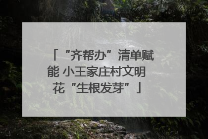 “齐帮办”清单赋能 小王家庄村文明花“生根发芽”