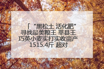 “黑松土 活化肥”寻找最美粮王 莘县王巧英小麦实打实收亩产1515.4斤 超对照田144斤！