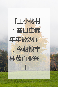王小楼村：昔日庄稼年年被沙压，今朝粮丰林茂百业兴