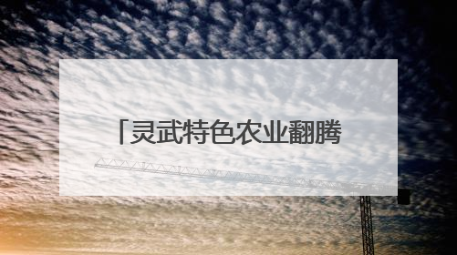 灵武特色农业翻腾振兴“致富浪”