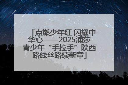 点燃少年红 闪耀中华心——2025浦莎青少年“手拉手”陕西路线丝路续新章