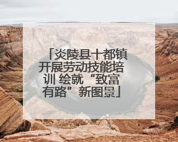 炎陵县十都镇开展劳动技能培训 绘就“致富有路”新图景