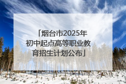 烟台市2025年初中起点高等职业教育招生计划公布