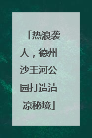 热浪袭人，德州沙王河公园打造清凉秘境