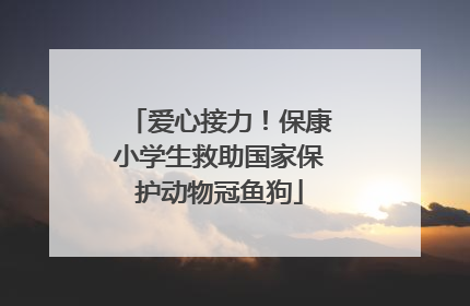 爱心接力！保康小学生救助国家保护动物冠鱼狗