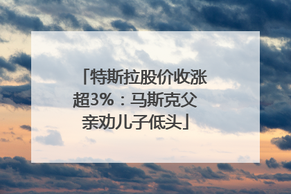 特斯拉股价收涨超3%：马斯克父亲劝儿子低头