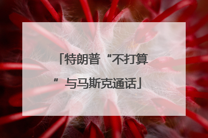 特朗普“不打算”与马斯克通话