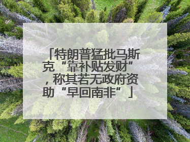特朗普猛批马斯克“靠补贴发财”，称其若无政府资助“早回南非”