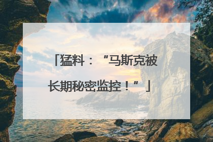 猛料：“马斯克被长期秘密监控！”