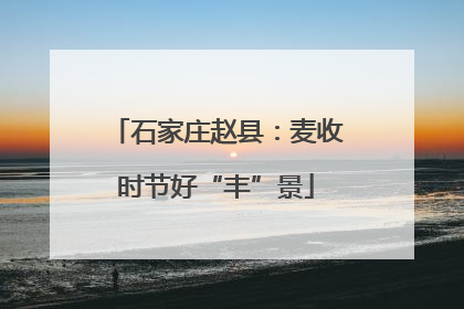 石家庄赵县：麦收时节好“丰”景