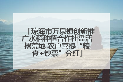 琼海市万泉镇创新推广水稻种植合作社盘活撂荒地 农户喜提“粮食+钞票”分红