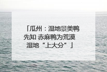 瓜州：湿地景美鸭先知 赤麻鸭为荒漠湿地“上大分”