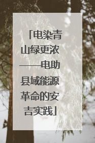 电染青山绿更浓——电助县域能源革命的安吉实践