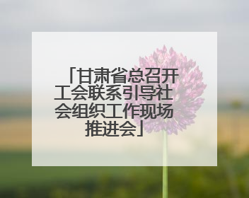甘肃省总召开工会联系引导社会组织工作现场推进会
