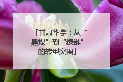 甘肃华亭：从“黑煤”到“绿链”的转型突围