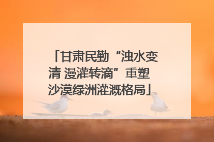 甘肃民勤“浊水变清 漫灌转滴”重塑沙漠绿洲灌溉格局