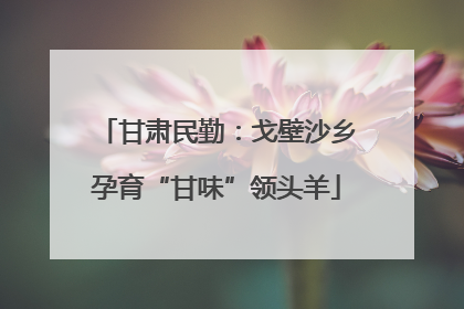 甘肃民勤：戈壁沙乡孕育“甘味”领头羊
