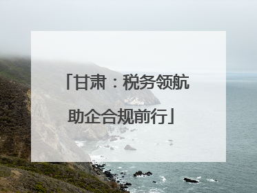 甘肃：税务领航 助企合规前行