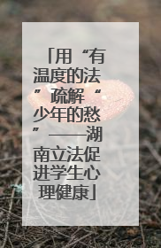 用“有温度的法”疏解“少年的愁”——湖南立法促进学生心理健康