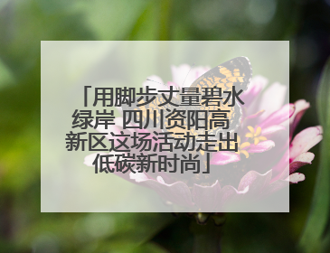 用脚步丈量碧水绿岸 四川资阳高新区这场活动走出低碳新时尚
