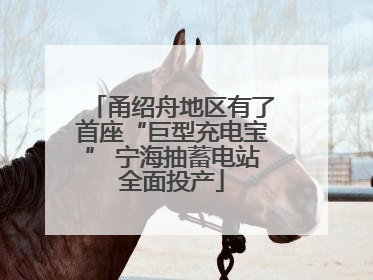 甬绍舟地区有了首座“巨型充电宝” 宁海抽蓄电站全面投产