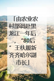 由农业农村部调赴黑龙江一年后，“80后”王杕履新齐齐哈尔副市长