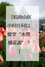 皖南山区小村庄何以蝶变“水墨桃花源”？
