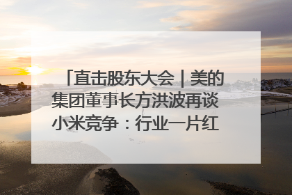 直击股东大会｜美的集团董事长方洪波再谈小米竞争：行业一片红海，打法已固定，无论谁胜都是消耗战