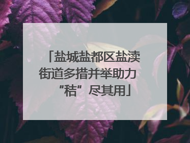 盐城盐都区盐渎街道多措并举助力“秸”尽其用