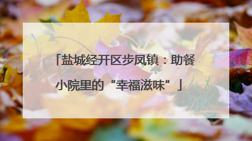 盐城经开区步凤镇：助餐小院里的“幸福滋味”