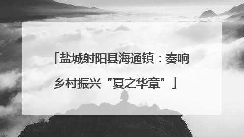 盐城射阳县海通镇：奏响乡村振兴“夏之华章”