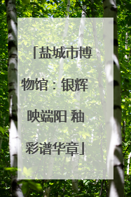 盐城市博物馆：银辉映端阳 釉彩谱华章