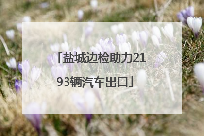 盐城边检助力2193辆汽车出口
