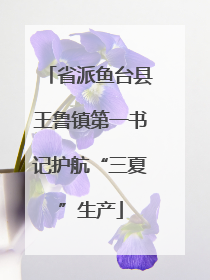 省派鱼台县王鲁镇第一书记护航“三夏”生产
