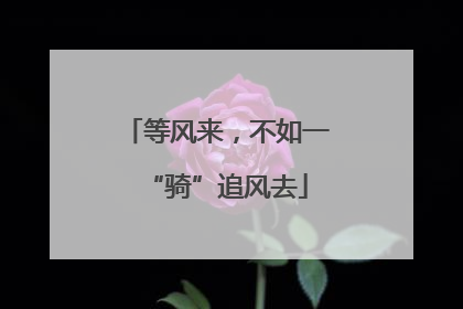 等风来，不如一“骑”追风去