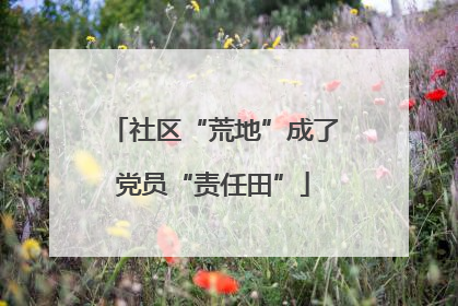 社区“荒地”成了党员“责任田”