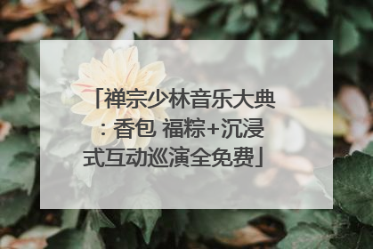 禅宗少林音乐大典：香包 福粽+沉浸式互动巡演全免费