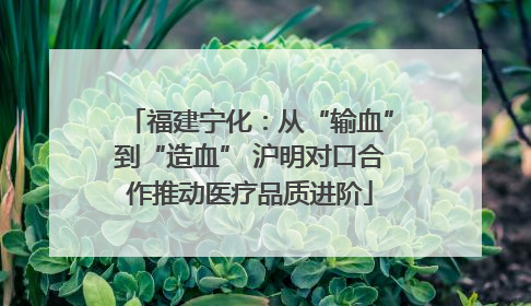 福建宁化：从“输血”到“造血” 沪明对口合作推动医疗品质进阶