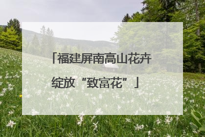 福建屏南高山花卉绽放“致富花”