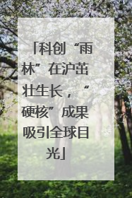科创“雨林”在沪茁壮生长，“硬核”成果吸引全球目光
