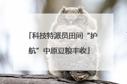 科技特派员田间“护航”中原夏粮丰收