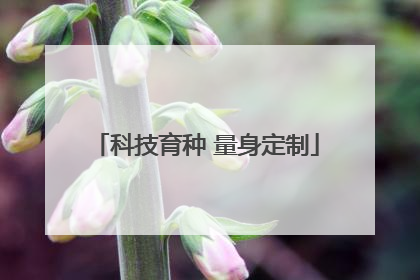 科技育种 量身定制