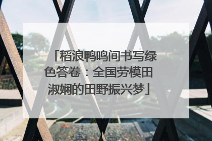 稻浪鸭鸣间书写绿色答卷：全国劳模田淑娴的田野振兴梦