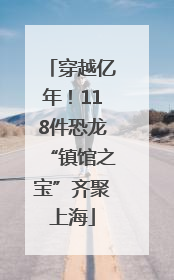 穿越亿年！118件恐龙“镇馆之宝”齐聚上海