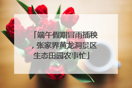 端午假期冒雨插秧，张家界黄龙洞景区生态田园农事忙