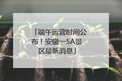 端午运营时间公布！安徽一5A景区最新消息