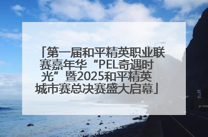 第一届和平精英职业联赛嘉年华“PEL奇遇时光”暨2025和平精英城市赛总决赛盛大启幕