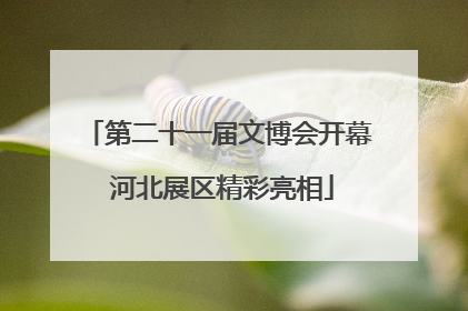 第二十一届文博会开幕 河北展区精彩亮相