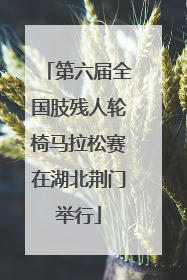 第六届全国肢残人轮椅马拉松赛在湖北荆门举行