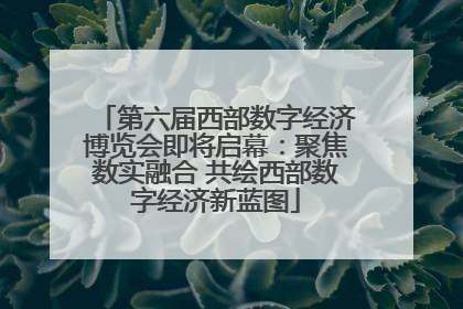 第六届西部数字经济博览会即将启幕：聚焦数实融合 共绘西部数字经济新蓝图